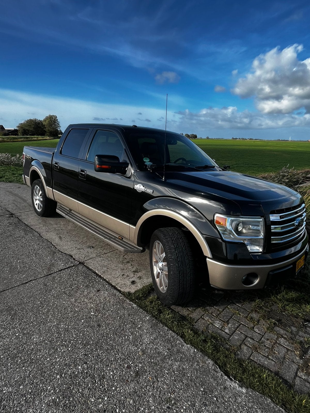 Ford F150 King Ranch 5.0, Auto's, Zwart, Leder, 4949 cc, Vierwielaandrijving
