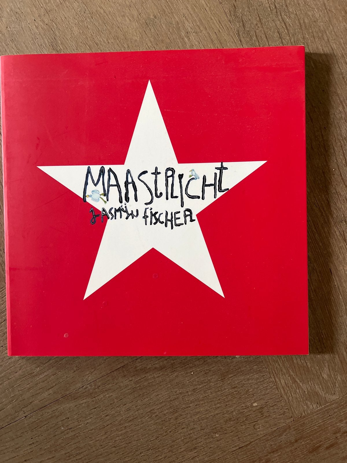 Maastricht: Een Uniek Boek over de Stad door Jasmin Fischer, Ophalen of Verzenden, Zo goed als nieuw, Non-fictie