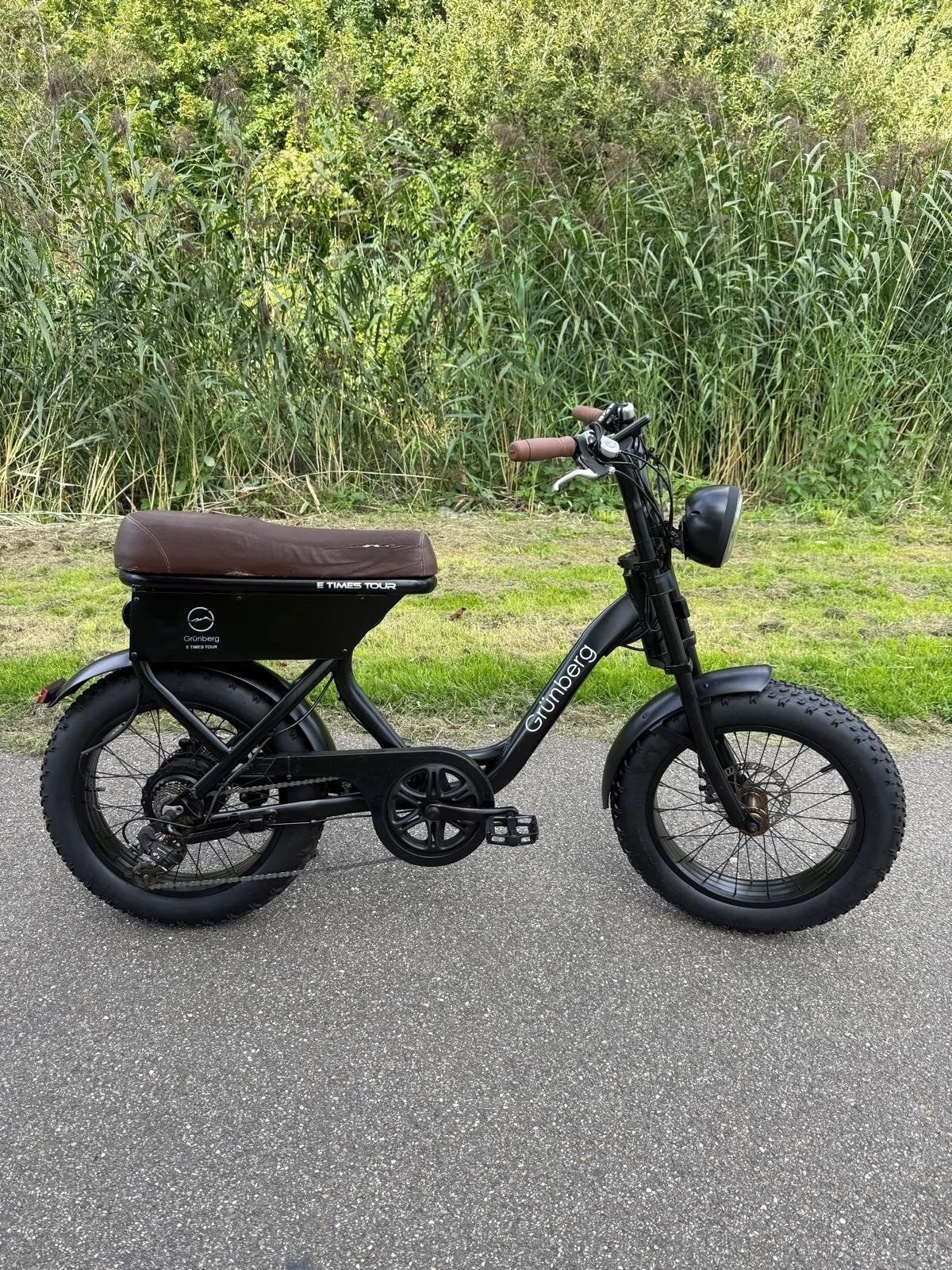 Lage Instap Fatbike E-Bike - Grote Actieradius, Fietsen en Brommers, Ophalen of Verzenden