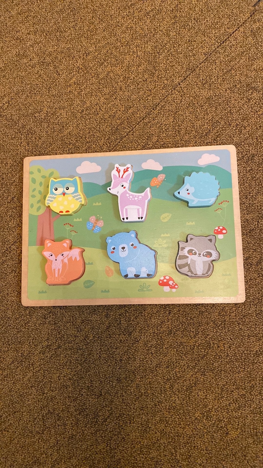 Houten kinderpuzzel, Ophalen, Minder dan 10 stukjes, Zo goed als nieuw, 6 maanden tot 2 jaar