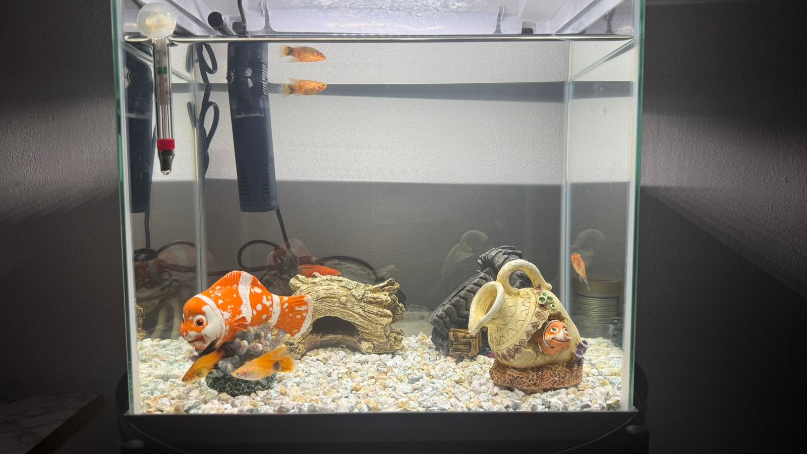 Qquarium met vissen en decoratie, Ophalen of Verzenden, Zo goed als nieuw, Gevuld zoetwateraquarium