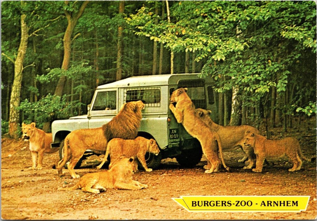 Arnhem Burgers Zoo Safari - 5 ansichtkaarten, Verzenden, 1960 tot 1980, Ongelopen, Gelderland