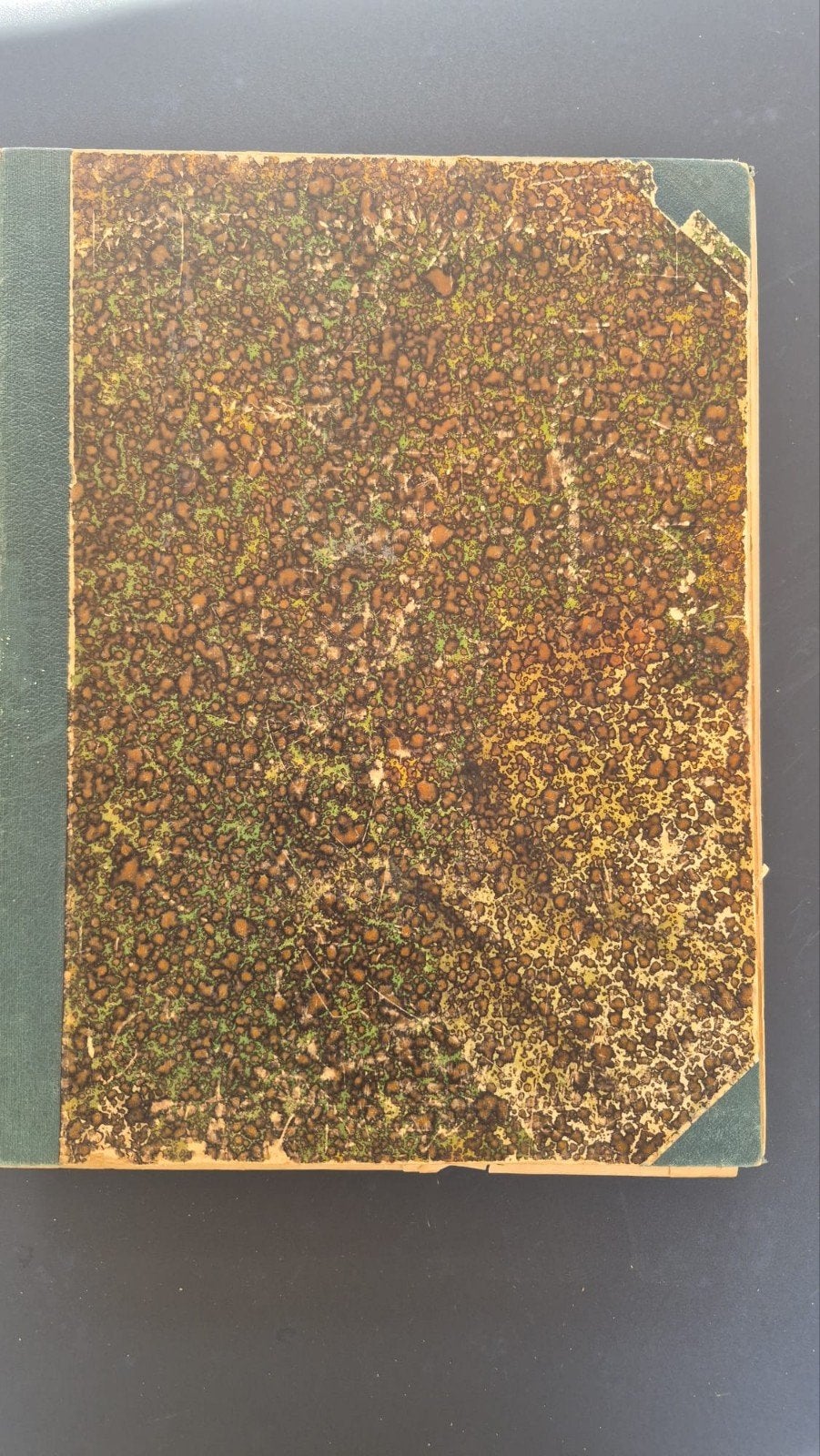 Oud tijdschrift Floralia, jaargang 1925, Ophalen of Verzenden, Onbekend