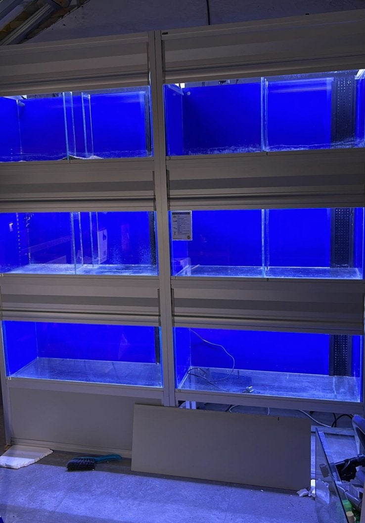 Professionele Aquarium Stellage, Ophalen, Zo goed als nieuw, Leeg aquarium