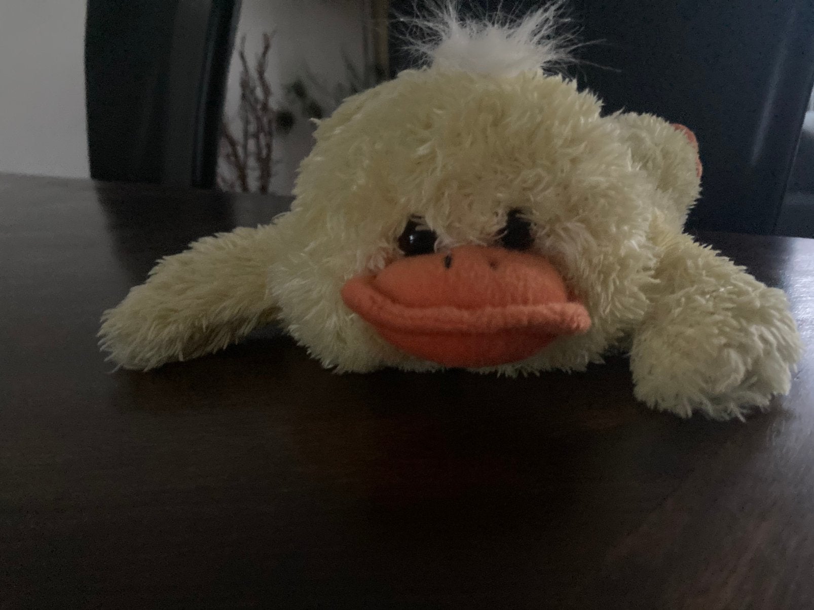 Leuke zachte pluche gele eend met klittenband, Ophalen, Zo goed als nieuw, Eend