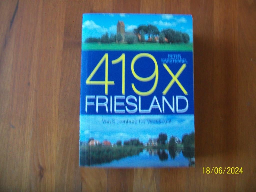 419 x Friesland - van Spijkerburg tot Moddergat, Boeken, Overige merken, Verzenden, Europa, Zo goed als nieuw