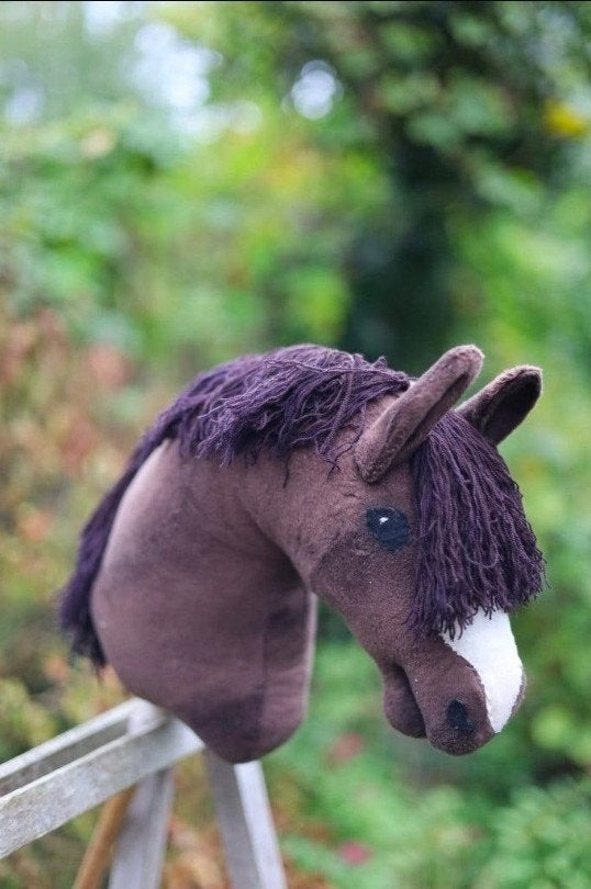 Handgemaakt Hobbyhorse en hoofdstel, Ophalen of Verzenden, Zo goed als nieuw, Jongen of Meisje