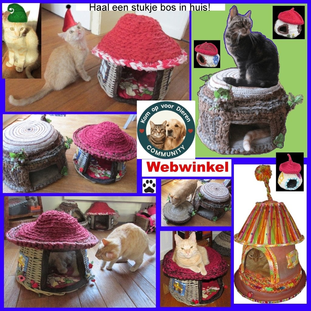 Katten accessoires te koop - je helpt er dieren in nood mee!, Ophalen of Verzenden, Nieuw
