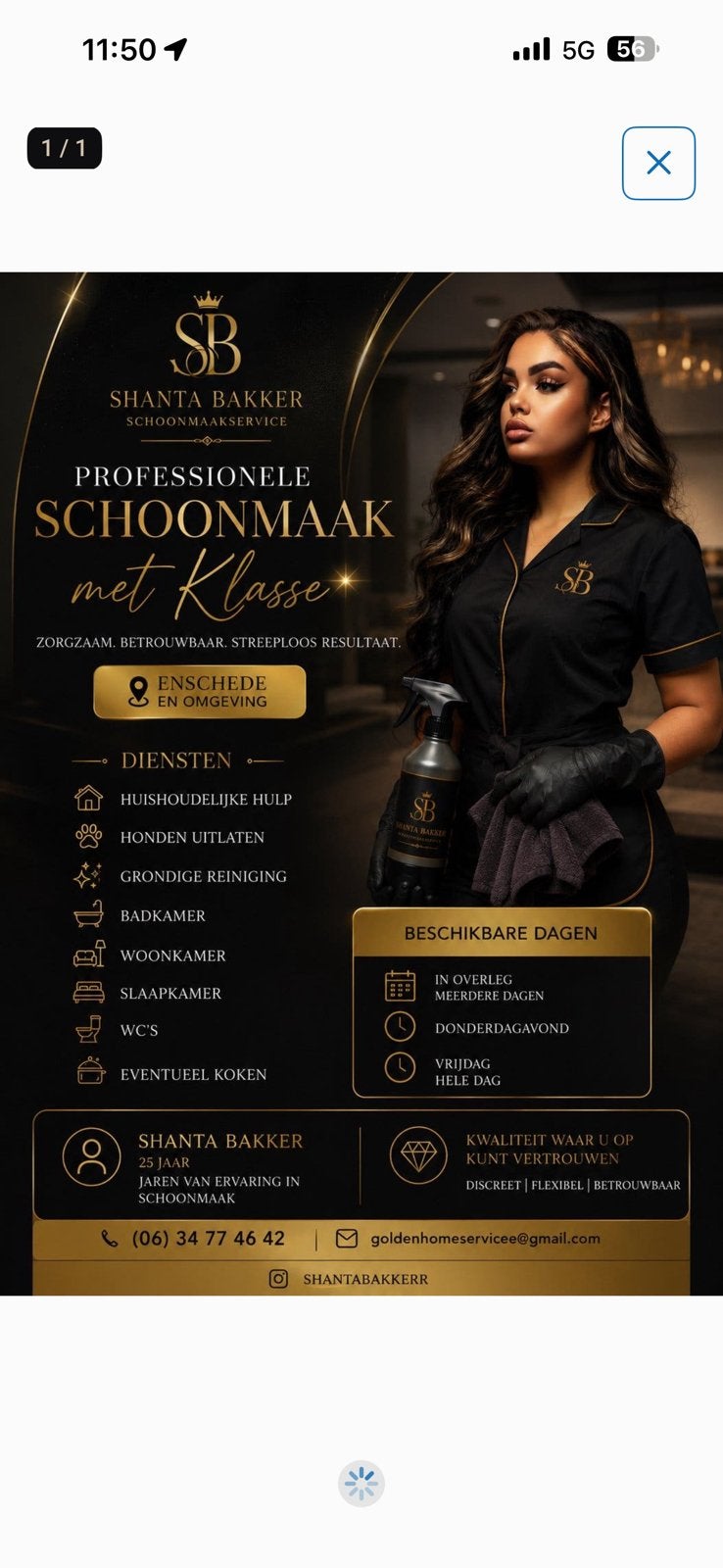 Proffesioneel schoonmaakster