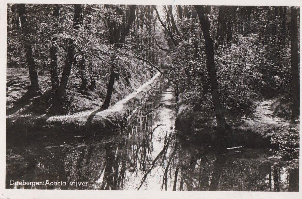 driebergen  acacia vijver 1948/zwiserse  brug  1942, Ophalen of Verzenden, Voor 1920, Noord-Brabant