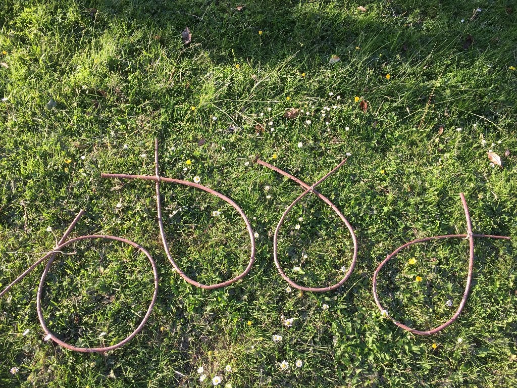 Wilg takken / wilg branches / sjamanisme/ dromenvanger, Ophalen, Nieuw, Natuurlijk materiaal, Knutselmateriaal
