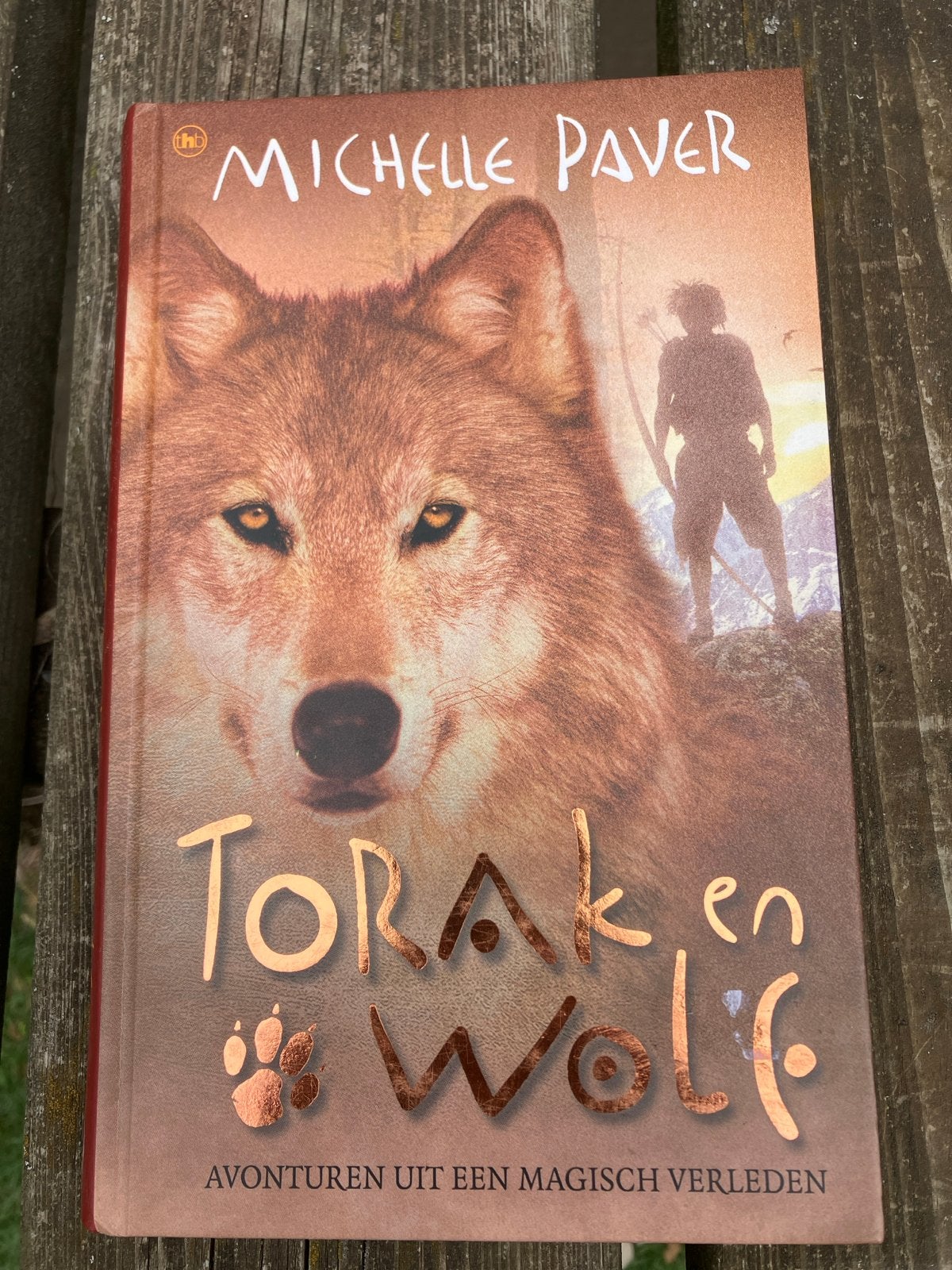 Torak en Wolf - Avonturen uit een Magisch Verleden, Boeken, Ophalen of Verzenden, Gelezen
