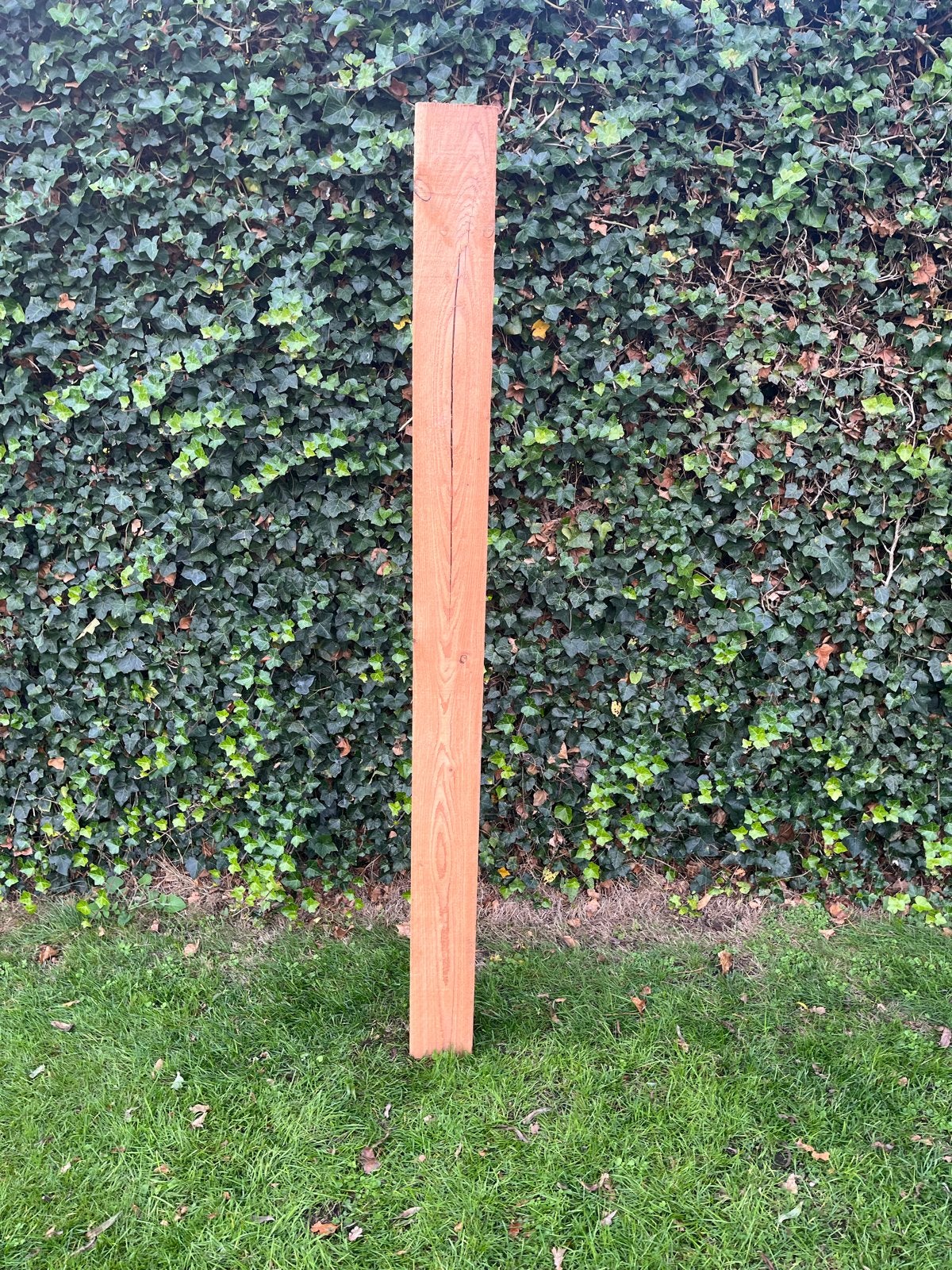 Douglas paal  - 2.00x 20x 20, Ophalen, Zo goed als nieuw, 200 tot 250 cm, 50 mm of meer