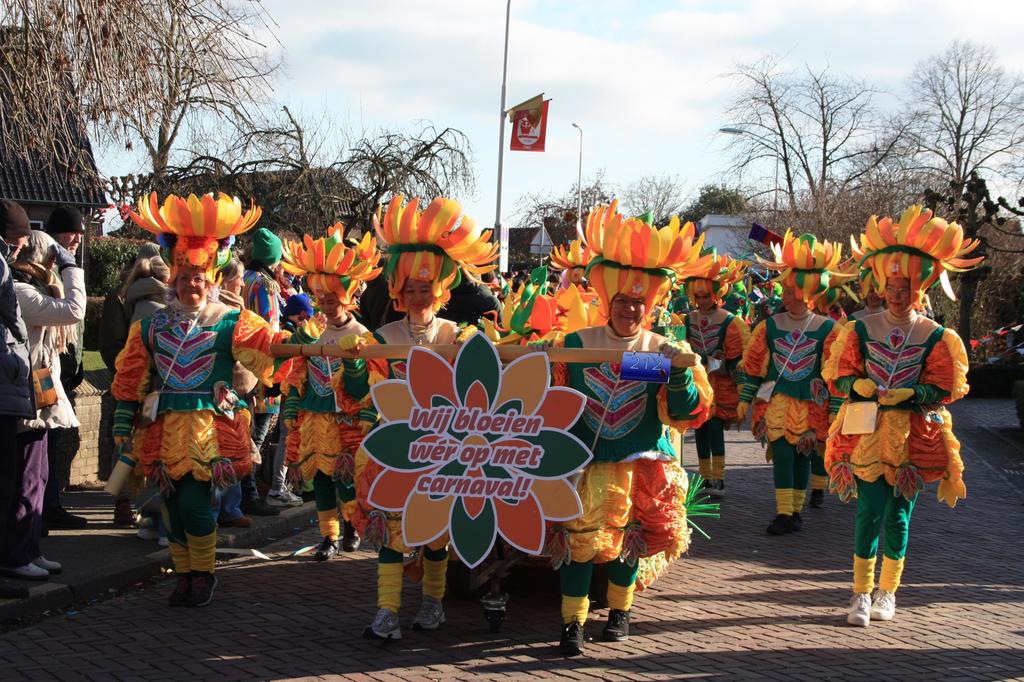 Carnavalskostuums loopgroep – Complete set, Ophalen, Maat 46/48 (XL) of groter, Carnaval