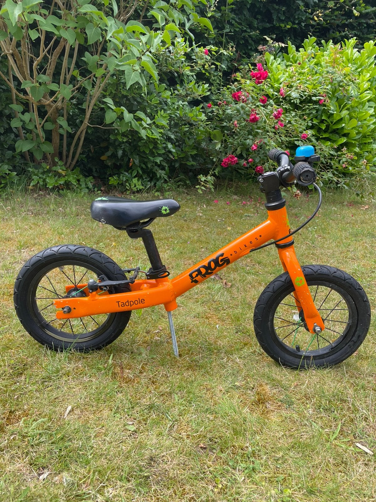 Frog Bikes Tadpole 12inch oranje, Ophalen of Verzenden, Gebruikt, Loopfiets