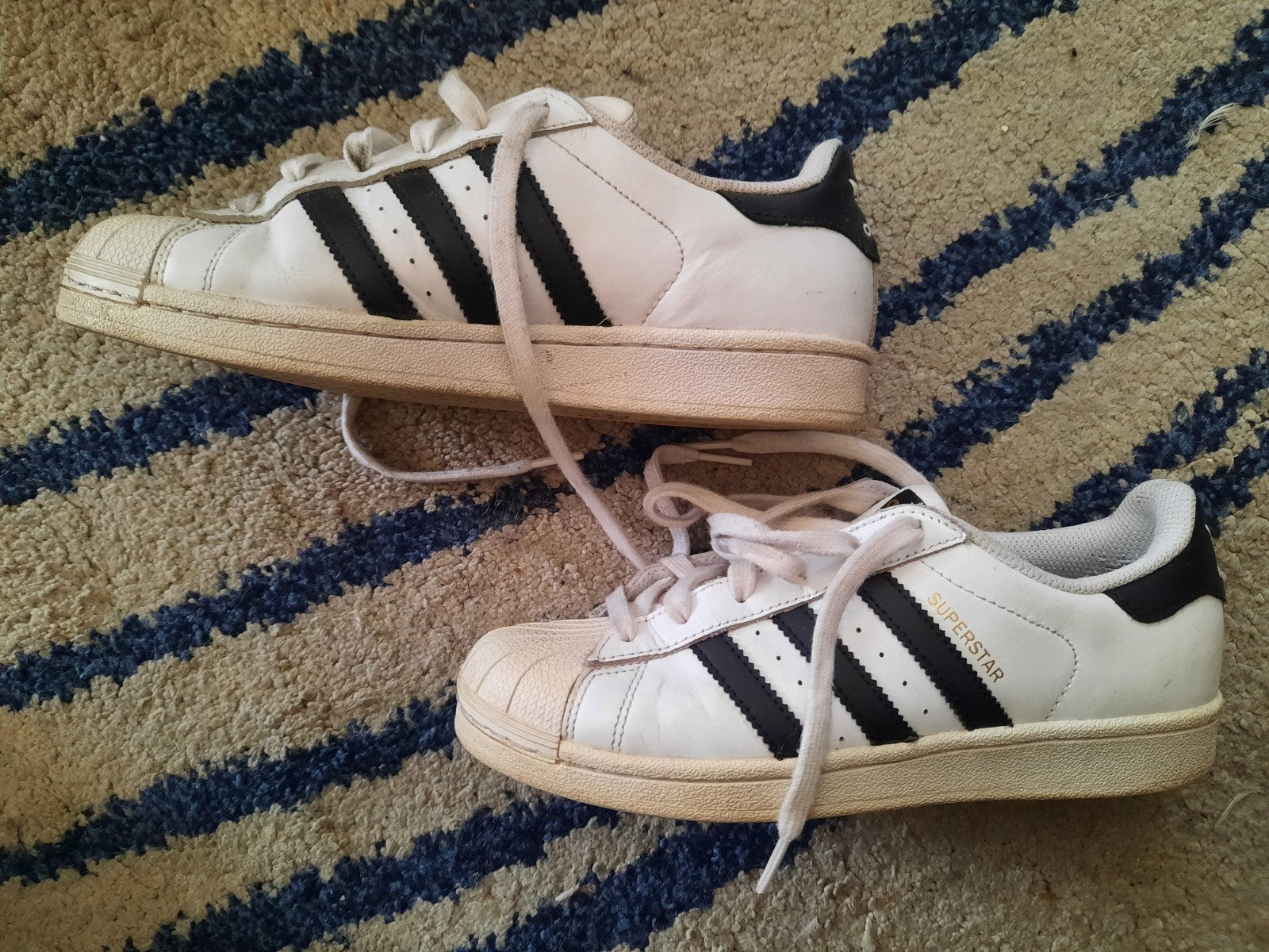 Adidas Superstar: wit zwarte gympen maat 37 1/3, Ophalen, Adidas, Wit, Sneakers of Gympen