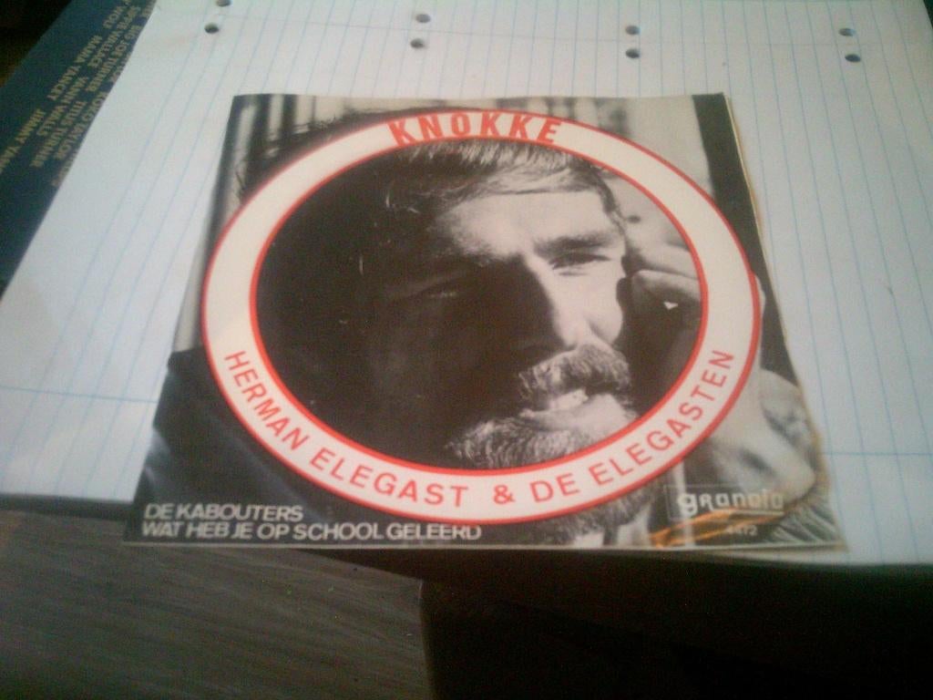 HERMAN ELEGAST & DE ELEGASTEN WAT HEB JE VANDAAG OP SCHOOL G, Cd's en Dvd's, 7 inch, Ophalen of Verzenden, Levenslied of Smartlap