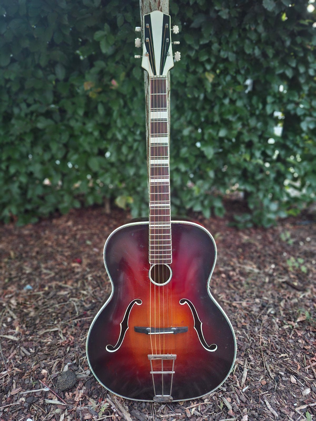 IGWILL / Ignaz Wilfer carved archtop – West Germany, Ophalen of Verzenden, Gebruikt, Western- of Steelstringgitaar