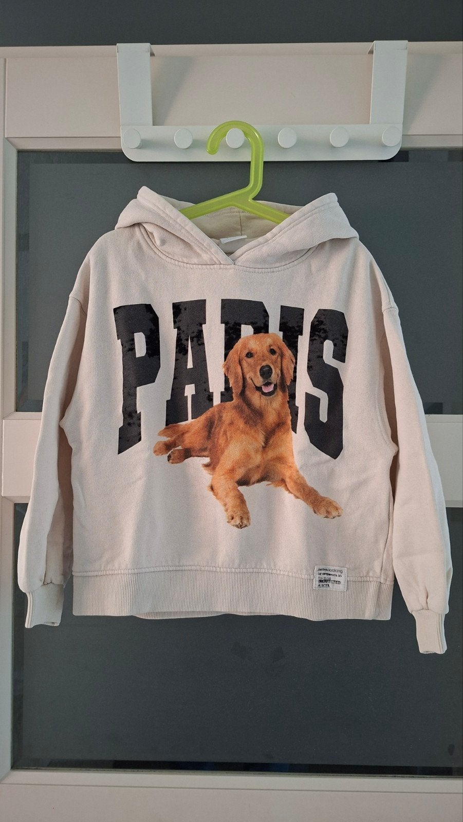 Zara Hoodie met Golden Retriever Print - Maat 134, Kinderen en Baby's, Kinderkleding | Maat 134, Gebruikt, Meisje, Trui of Vest