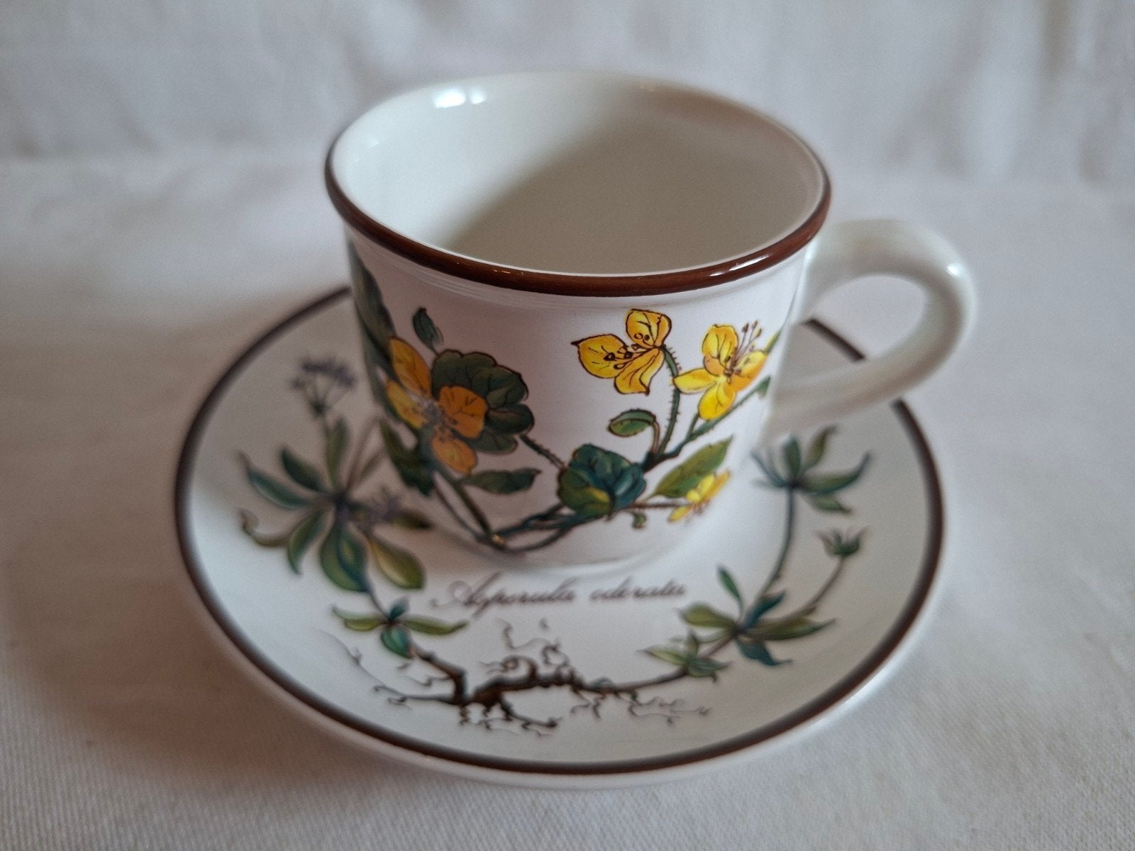 Villeroy & Boch Botanica espresso kop en schotel, Ophalen of Verzenden, Zo goed als nieuw, Overige stijlen, Kop(pen) en/of Schotel(s)
