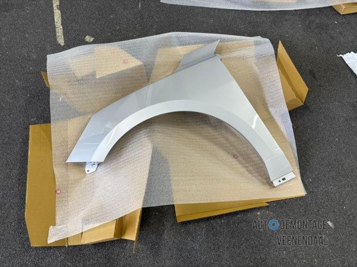 Scherm links-voor van een Ford Focus (MOONDUST), Auto-onderdelen, -, -, Nieuw, Ophalen of Verzenden