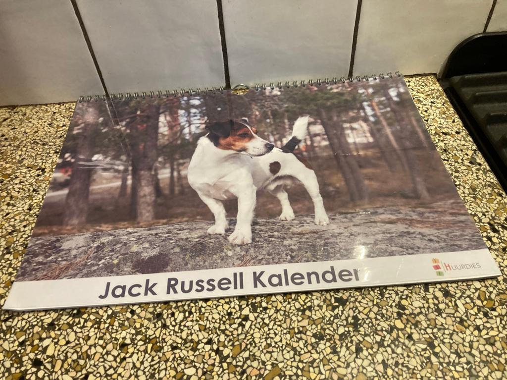 Verjaardagskalender Jack Russel, Ophalen of Verzenden, Maandkalender, Zo goed als nieuw