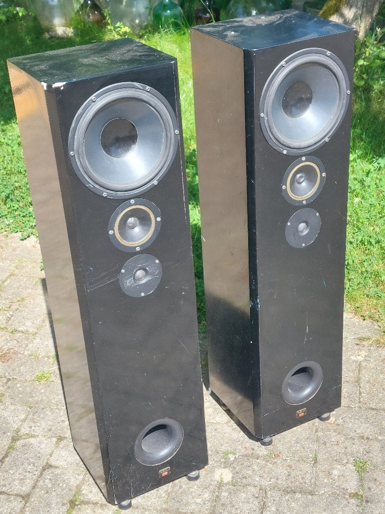 Boxen / speakers, Audio, Tv en Foto, Luidsprekers, Gebruikt, Vloerstaande luidspreker, Overige merken, Ophalen