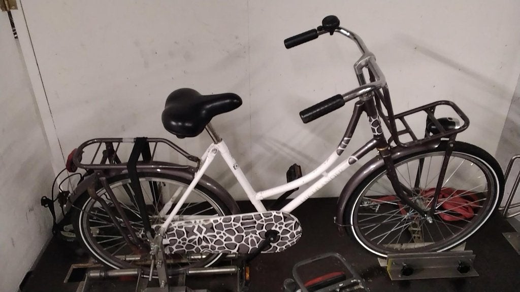 Highlander Zoo Meisjesfiets, Ophalen, Terugtraprem, Highlander, Gebruikt