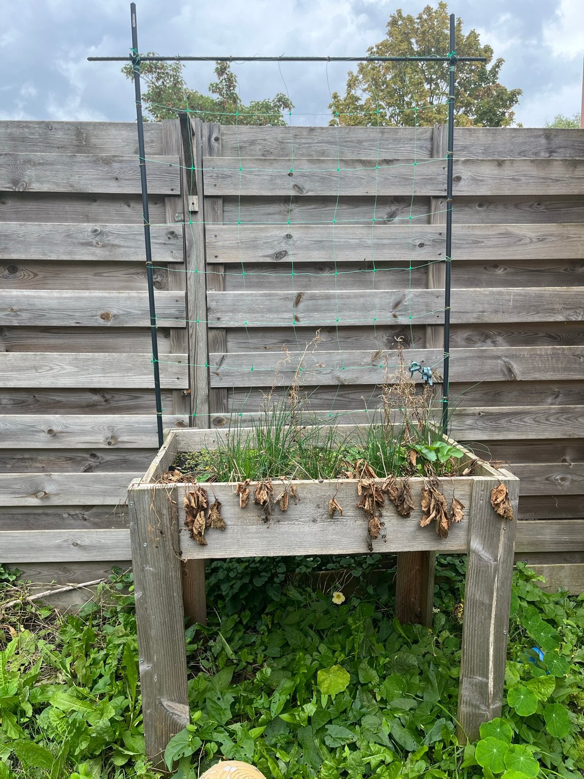 Moestuinbak met Klimrek - 60x90 cm, Ophalen, Gebruikt, 60 tot 100 cm, 60 cm of meer