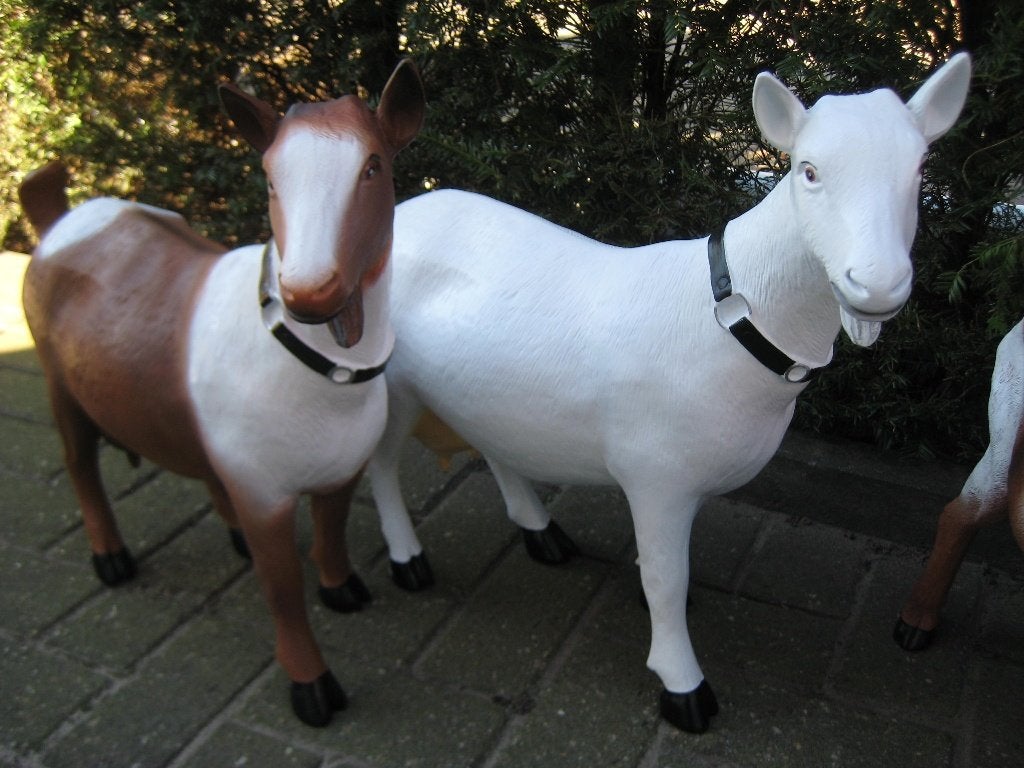 NIEUW BEELD GEIT OF BOK  VAN POLYSTONE, Tuin en Terras, Ophalen, Nieuw, Kunststof, Dierenbeeld