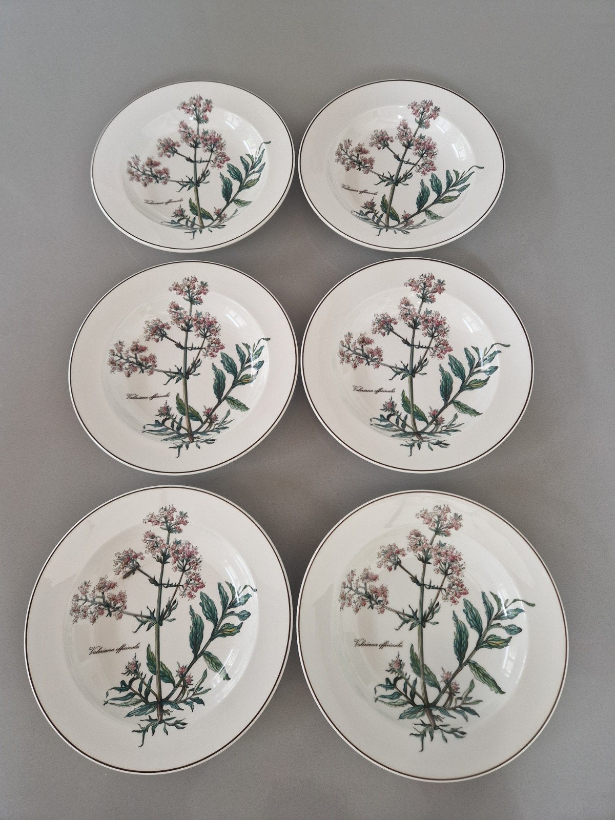 Diepe Borden Villeroy en Boch Botanica, Nieuw, Ophalen of Verzenden, Bord(en), Overige stijlen