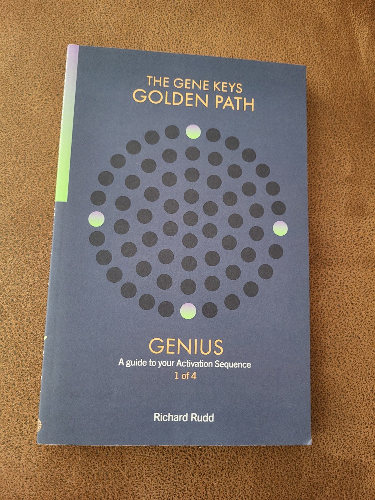The Golden Path Gene Keys, Ophalen of Verzenden, Zo goed als nieuw, Richard Rudd