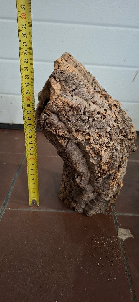 Kurktunnel/stam 26cm, Ophalen of Verzenden, Zo goed als nieuw, Tak, Plant, Rots of Steen