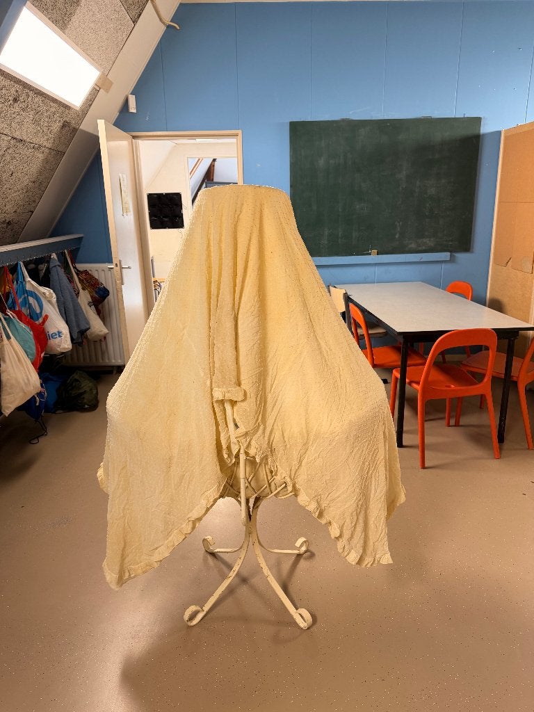 Vintage mandenwieg met standaard en baldakijn, Ophalen, Gebruikt, Wieg