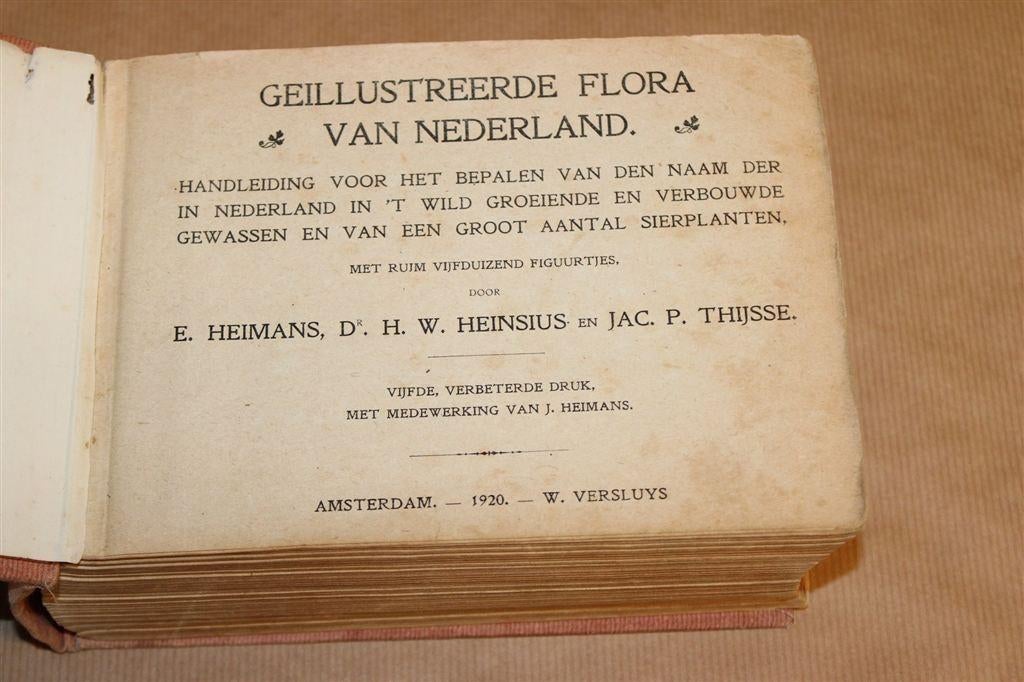 Geïllustreerde Flora van Nederland [1920] —Heimans & Thijsse, Boeken, Ophalen of Verzenden, Gelezen, Bloemen, Planten en Bomen