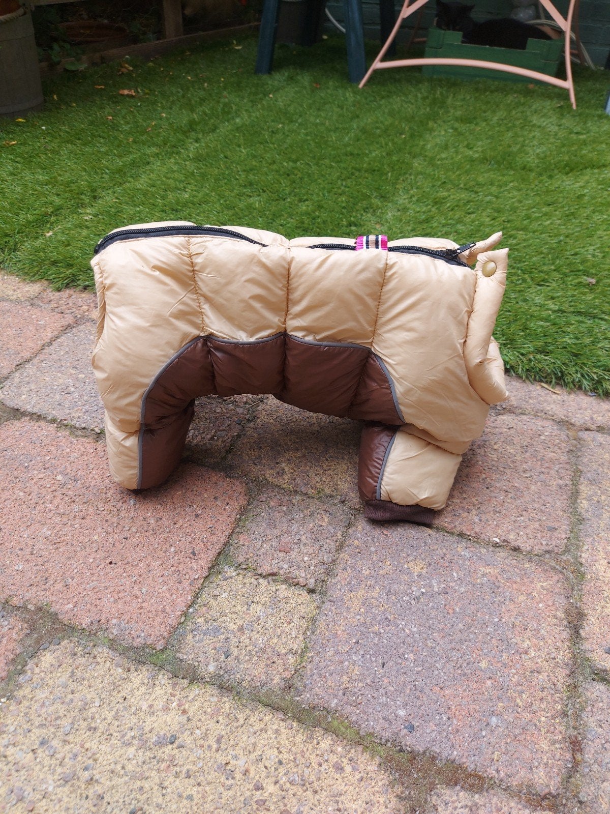 Winterjas  kleine hond, Ophalen of Verzenden, Nieuw, Hondenjas