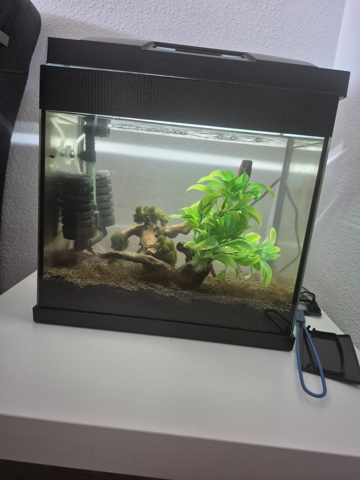 Klien aquarium met  garnalen, Ophalen of Verzenden, Zo goed als nieuw, Gevuld zoetwateraquarium