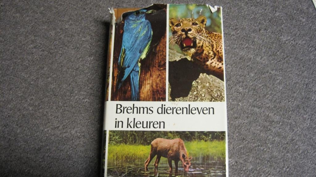 Brehms dieren leven in kleuren, Brehms, Ophalen of Verzenden, Zo goed als nieuw, Overige diersoorten