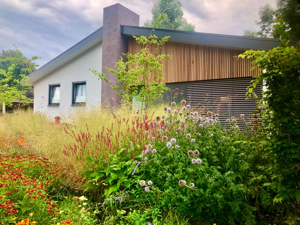 Red Cedar latten/ balkjes voor bijvoorbeeld gevelbekleding, Ophalen, 25 tot 50 mm, Overige typen, Nieuw