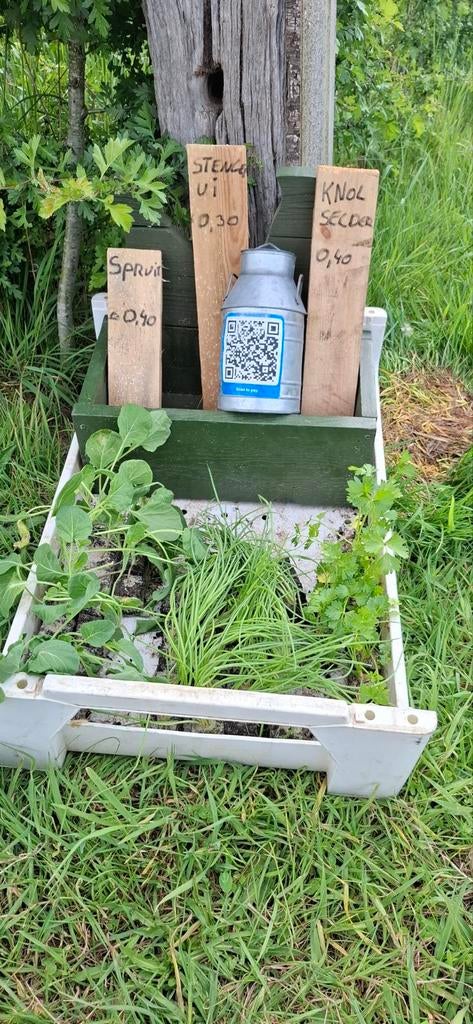 Verse Groenteplantjes: Spruit, Stengelui, Knolselder, Ophalen