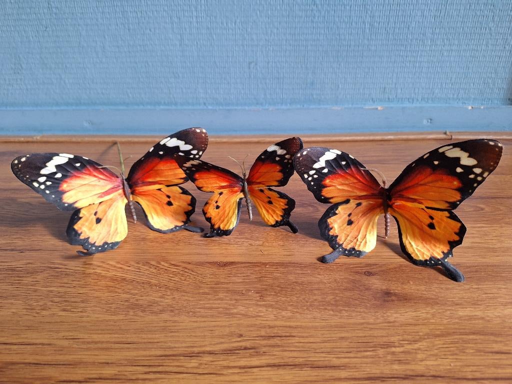 Decoratie vlinders, Ophalen of Verzenden, Zo goed als nieuw