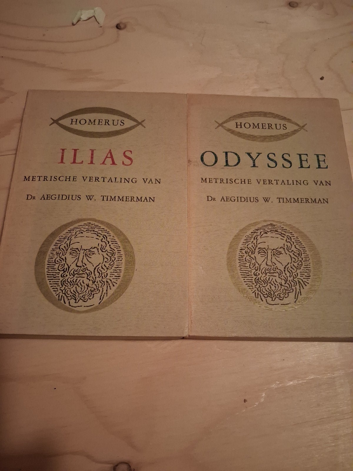 Homerus - Odyssee en Ilias, Boeken, Ophalen of Verzenden, Zo goed als nieuw, Nederland