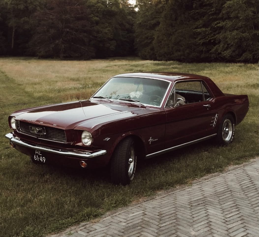 Ford Mustang Oldtimer V8 Automaat 1966, Auto's, Automaat, Achterwielaandrijving, 5000 cc, Leder