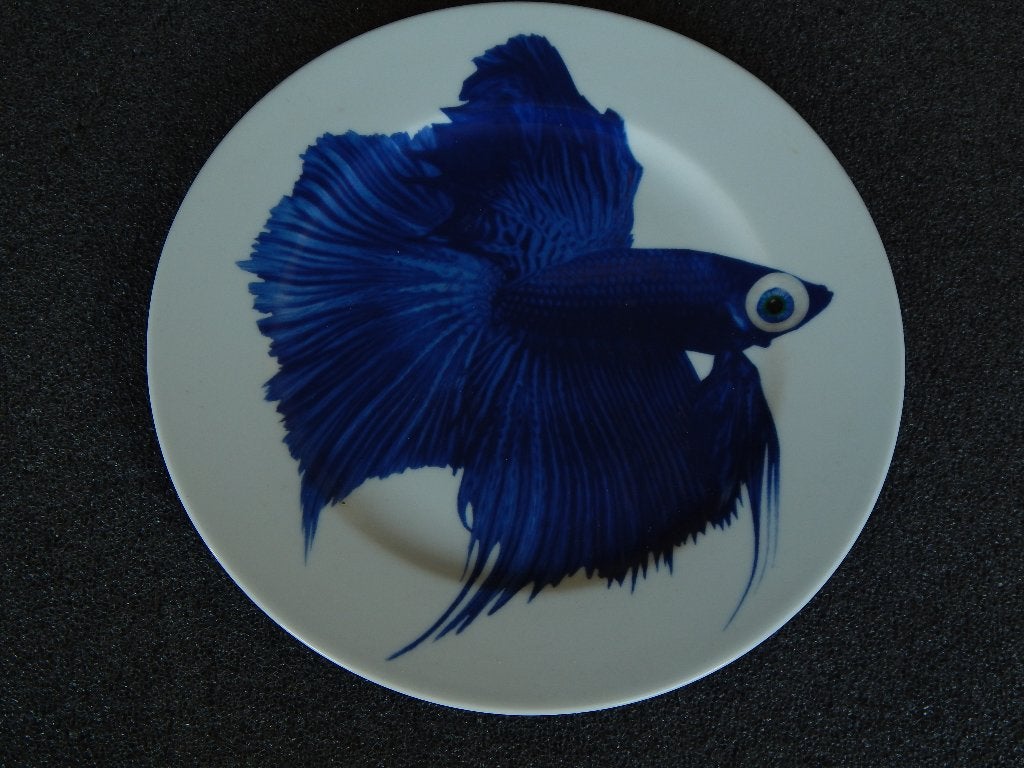 Aardenwerk bord met afbeelding Siamese kempvis, Ophalen of Verzenden