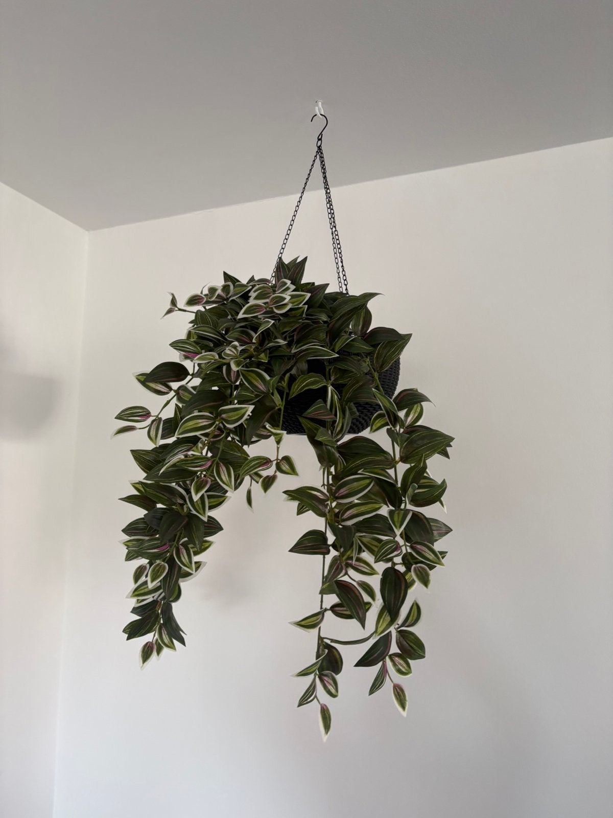 Kunsthangplanten incl. 2 hangpotten met ophangketting, Ophalen, Binnen, 70 cm, Zo goed als nieuw