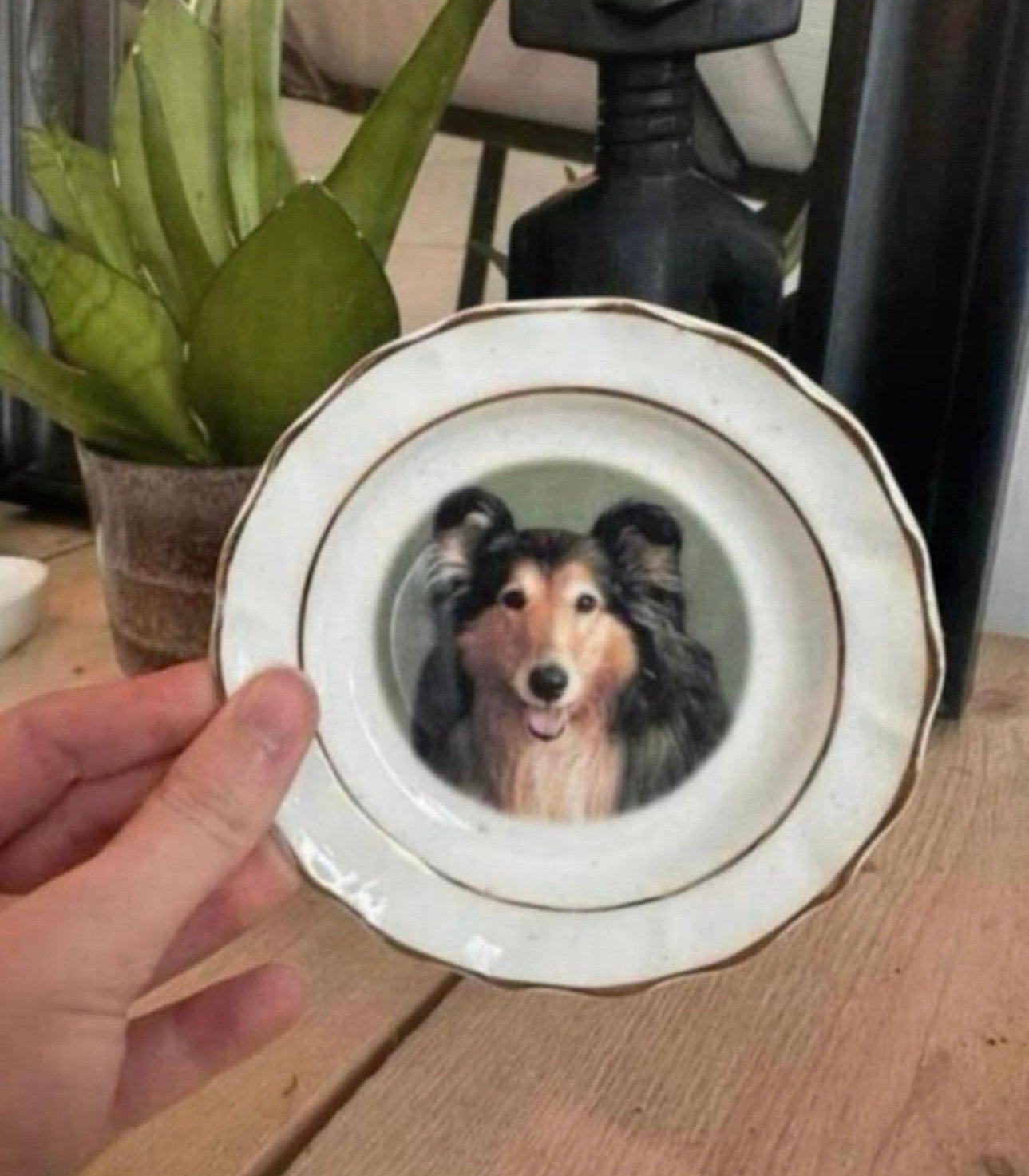 Schoteltje van het merk faithful friends met een Collie, Ophalen of Verzenden, Zo goed als nieuw