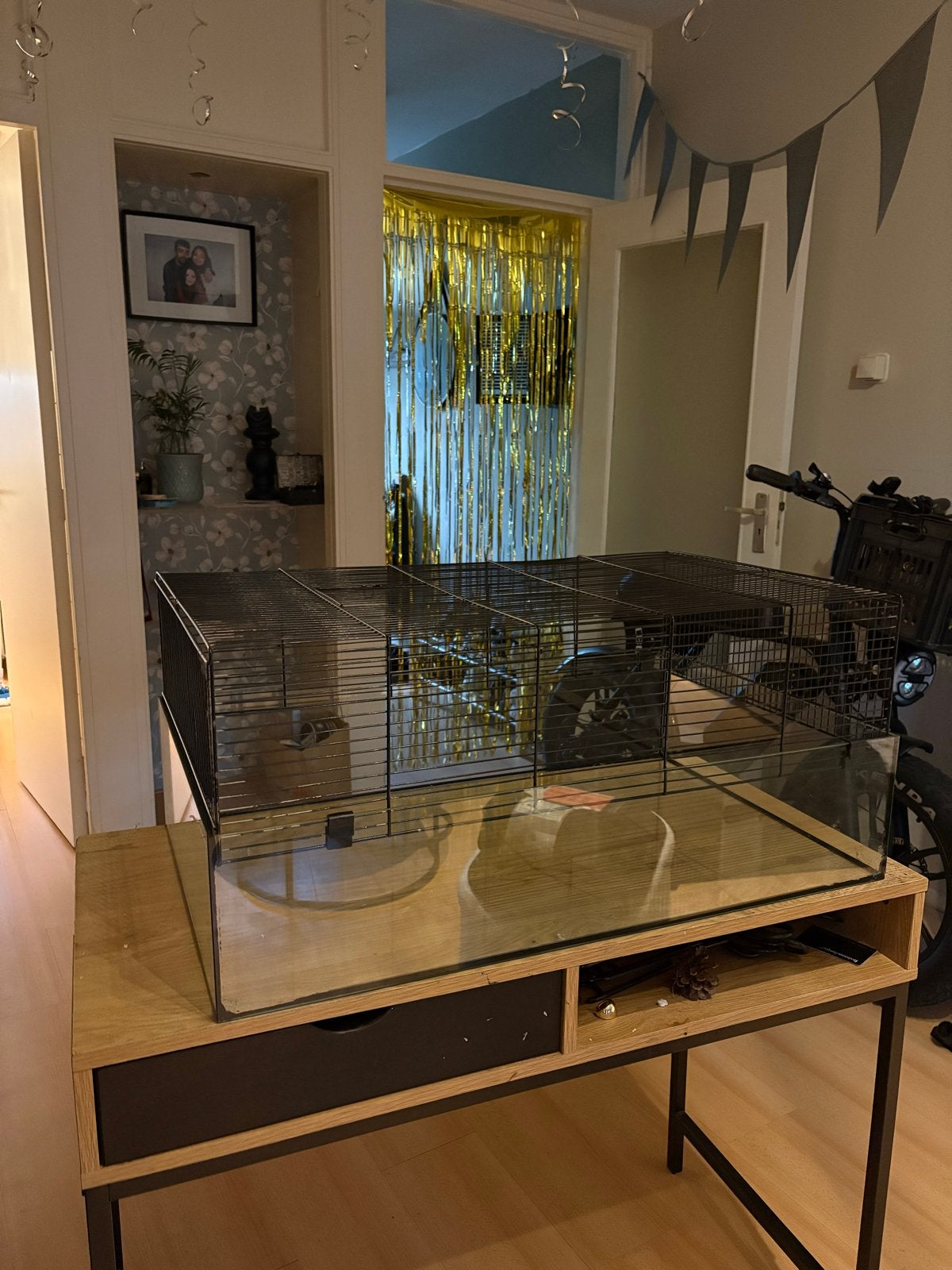 Hamsterkooi + accessoires, Ophalen, Gebruikt