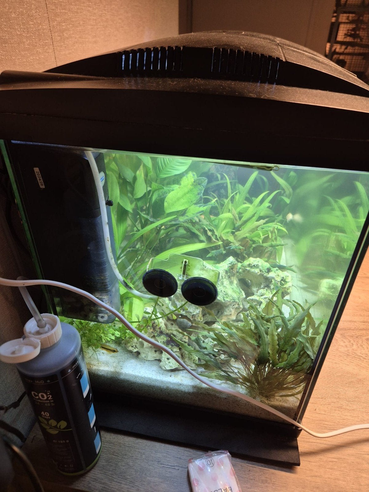superfish aquarium, Ophalen, Zo goed als nieuw, Leeg aquarium