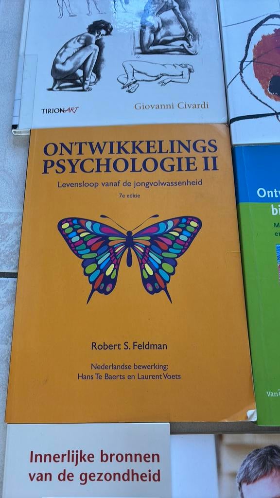 Vaktherapeut beeldend/kunstzinnige therapie opleiding boeken, Boeken, Diverse auteurs, Zo goed als nieuw, Beta, HBO