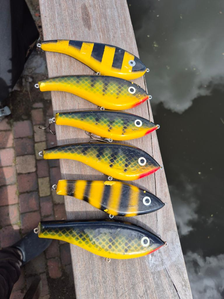 Setje robbaits, Watersport en Boten, Hengelsport | Roofvissen, Ophalen of Verzenden, Overige typen